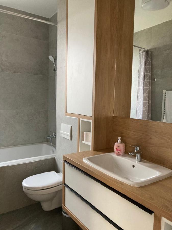 Papillon Apartment #6 Dumbravita  ภายนอก รูปภาพ